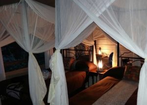 lake-burunge-tented-camp-2