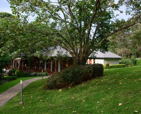lake-duluti-lodge 9