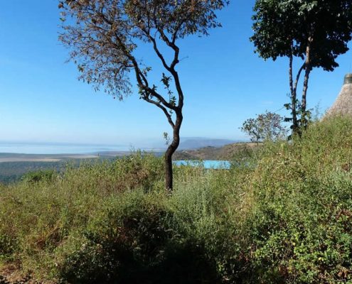lake-manyara-serena-lodge-5
