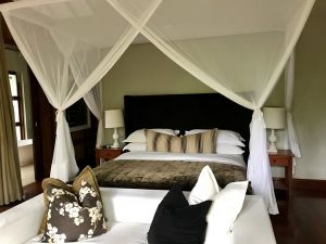 lovely-large-comfortable