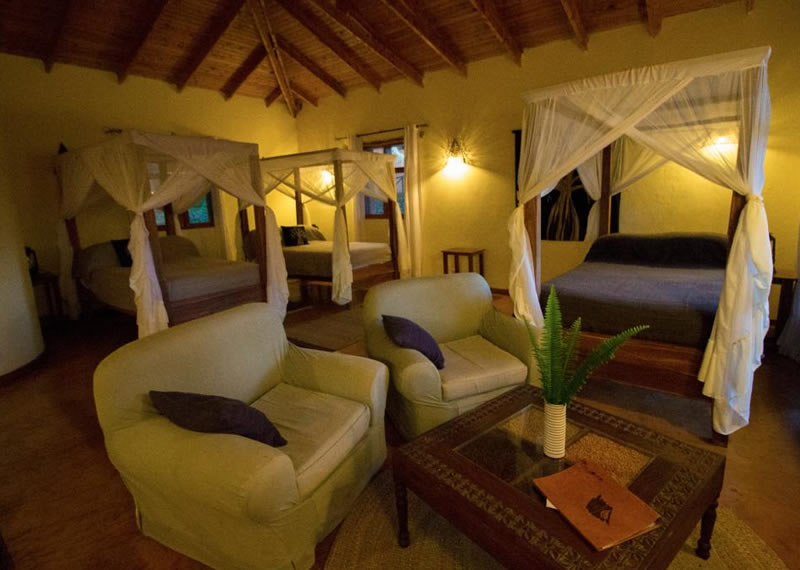 ngorongoro-farm-house5
