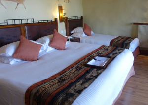 ngorongoro-serena-lodge4