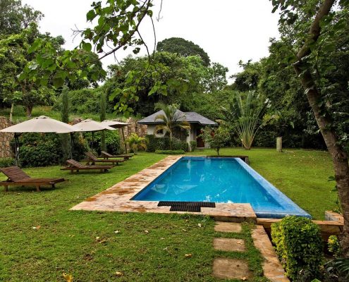the-swimming-pool